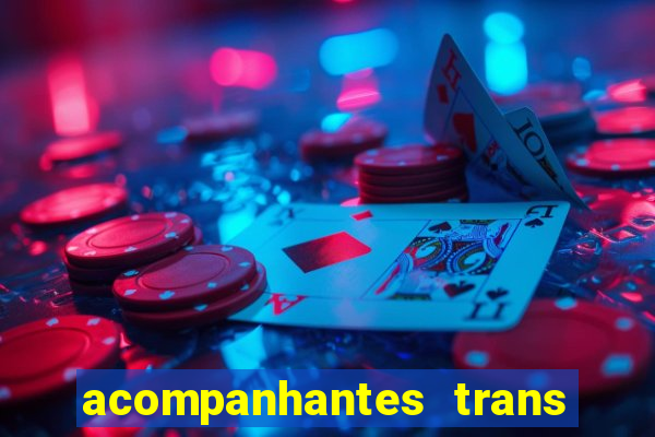 acompanhantes trans baixada fluminense